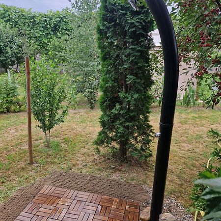 Вилла Casa Hariton Dragus Экстерьер фото