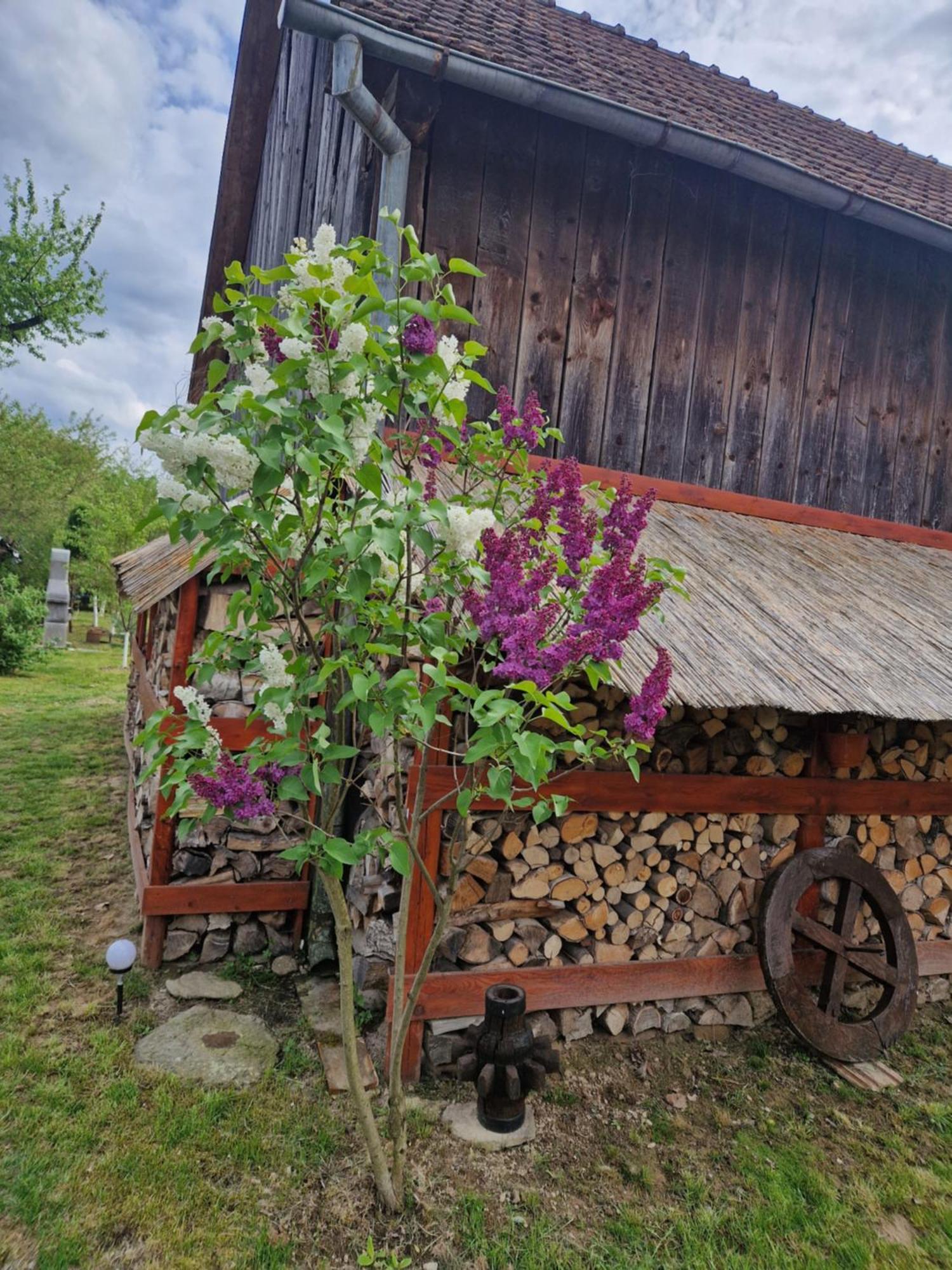 Вилла Casa Hariton Dragus Экстерьер фото