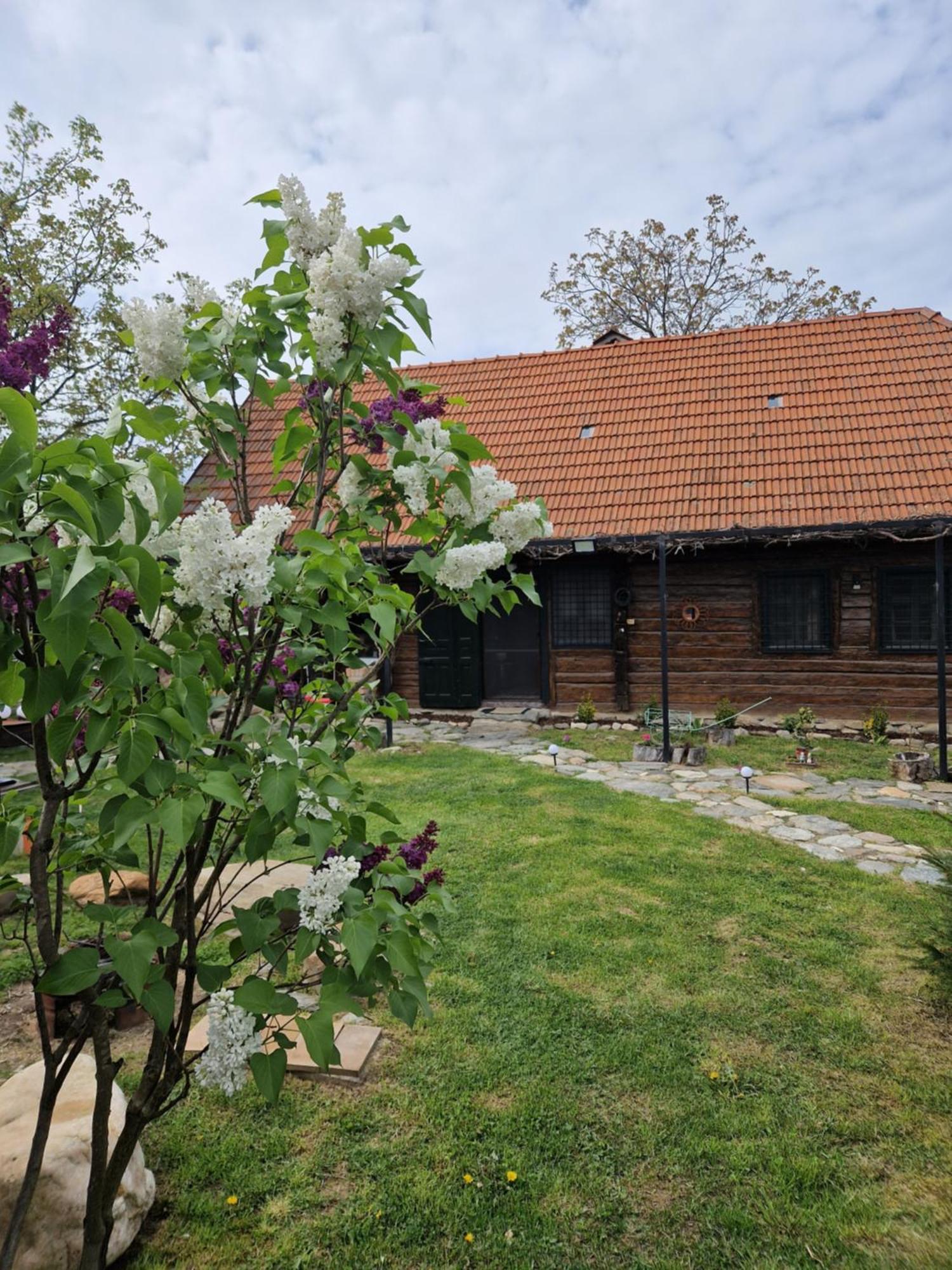 Вилла Casa Hariton Dragus Экстерьер фото